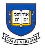 university